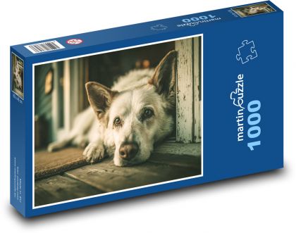 Pes ležící na podlaze - puzzle 1000 dílků
