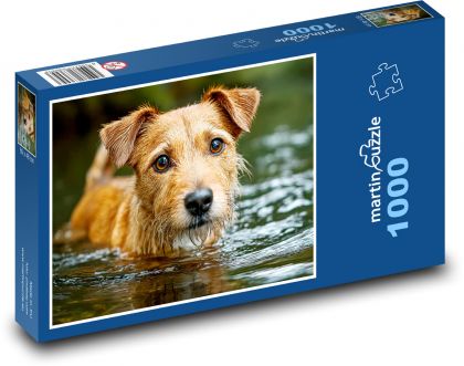 Dog in water - Puzzle 1000 pieces, size 60x46 cm 