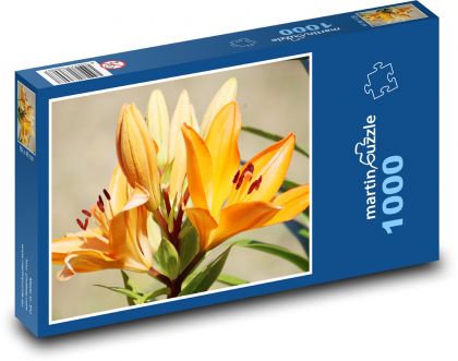Orange Lily - Puzzle 1000 pieces, size 60x46 cm 