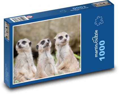 Surikaty - Puzzle 1000 dielikov, rozmer 60x46 cm