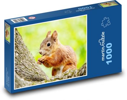 Eichhörnchen. - Puzzle - 1000 Teile