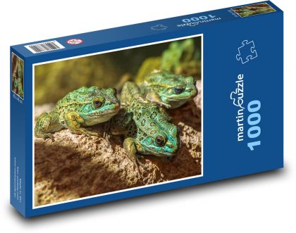 Žáby - puzzle 1000 dílků