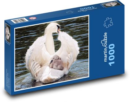 Labuť s mládětem - puzzle 1000 dílků