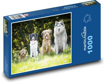 Psy - Puzzle 1000 elementów, rozmiar 60x46 cm