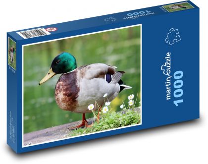 Káčer. - Puzzle 1000 dielikov, rozmer 60x46 cm