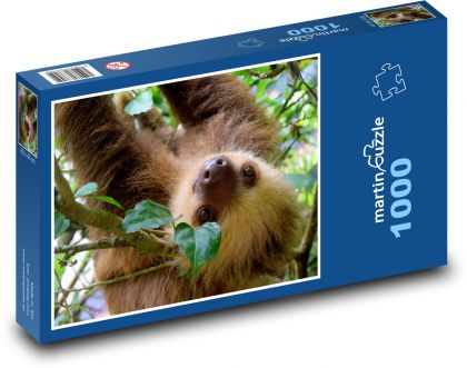 Lenochod na stromě - puzzle 1000 dílků