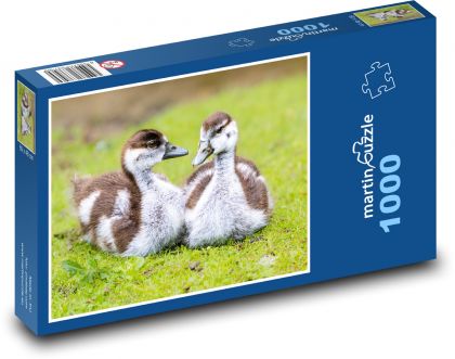 Divoké husy - Puzzle 1000 dílků, rozměr 60x46 cm