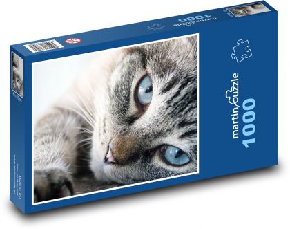 Kot - Puzzle 1000 elementów, rozmiar 60x46 cm