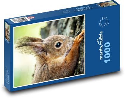 Veverka - Puzzle 1000 dílků, rozměr 60x46 cm