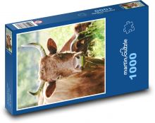 Kráva Puzzle 1000 dílků - 60 x 46 cm