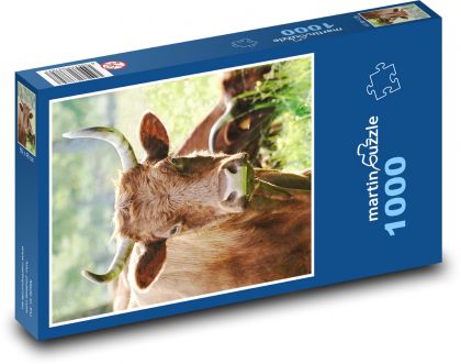 Kráva - Puzzle 1000 dílků, rozměr 60x46 cm