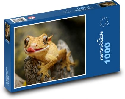 Gekon - ještěrka - puzzle 1000 dílků