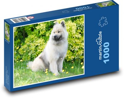Pes - Eurasier olaf blue - puzzle 1000 dílků