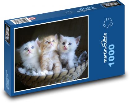 Kätzchen - Puzzle - 1000 Teile
