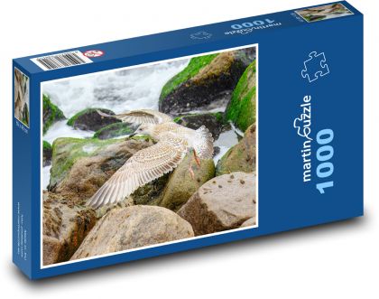 Mewy przelatujące nad wybrzeżem - Puzzle 1000 elementów, rozmiar 60x46 cm