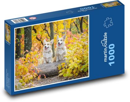 Psi - corgi - Puzzle 1000 elementów, rozmiar 60x46 cm