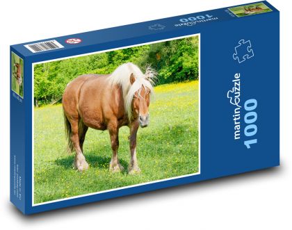Kůň na pastvě - puzzle 1000 dílků