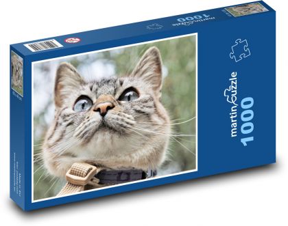 Sivá mačka - Puzzle 1000 dielikov, rozmer 60x46 cm