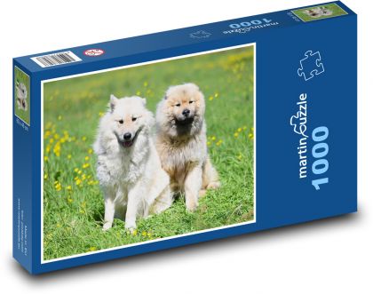 Eurasier - dog - Puzzle 1000 pieces, size 60x46 cm 