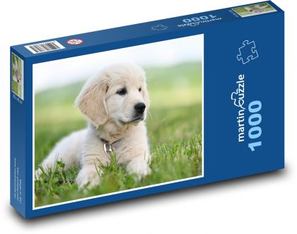 Golden Retriever - Dog - Puzzle 1000 pieces, size 60x46 cm 