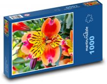 Fleur de Lis. Puzzle 1000 Teile - 60 x 46 cm