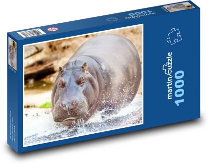 Hroch ve vodě - puzzle 1000 dílků