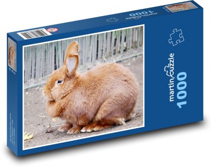 Králik domáci - Puzzle 1000 dielikov, rozmer 60x46 cm