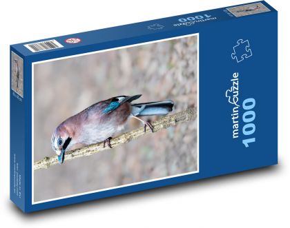 Pták - sojka - puzzle 1000 dílků