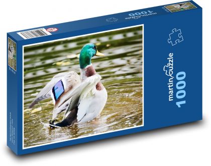 Kaczka - Puzzle 1000 elementów, rozmiar 60x46 cm