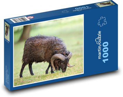 Ovce - Puzzle 1000 dielikov, rozmer 60x46 cm