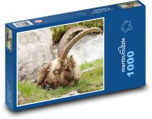 Koziorożec Puzzle 1000 elementów - 60x46 cm