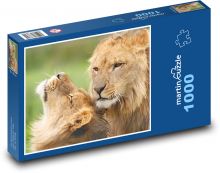 Lev a lvice Puzzle 1000 - 60x46 cm