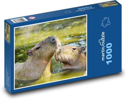 Capybara - Puzzle 1000 pieces, size 60x46 cm 