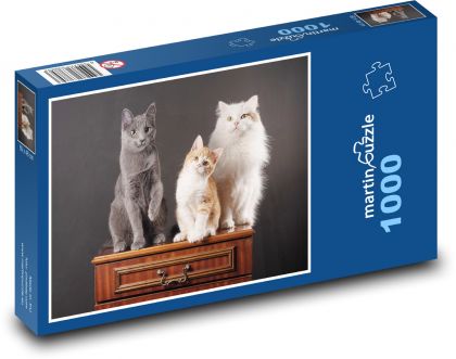 Mačky - domáce zvieratá - Puzzle 1000 dielikov, rozmer 60x46 cm