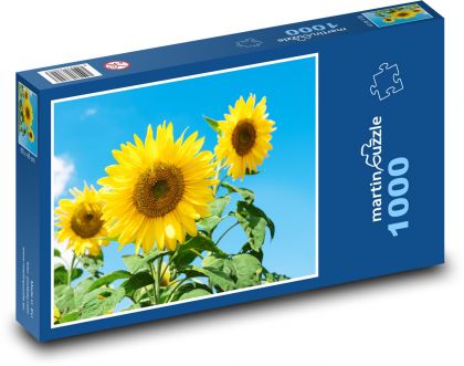 Slnečnica - Puzzle 1000 dielikov, rozmer 60x46 cm