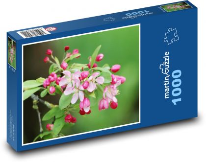 Apple blossom - Puzzle 1000 pieces, size 60x46 cm 