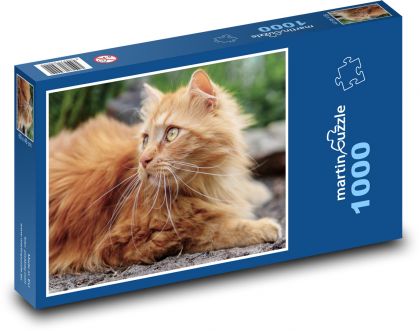 Perzská mačka - Puzzle 1000 dielikov, rozmer 60x46 cm