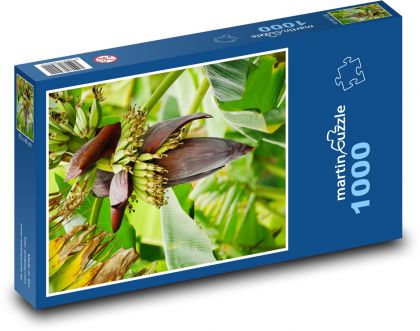 Bananenblüte - Puzzle - 1000 Teile