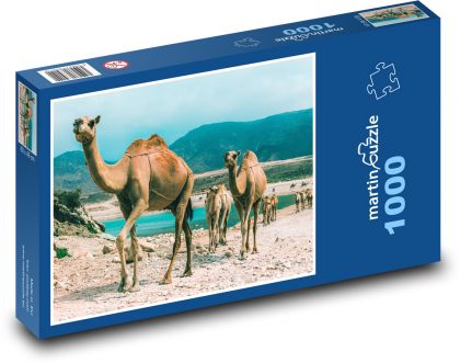 Wielbłądy - Oman - Puzzle 1000 elementów, rozmiar 60x46 cm