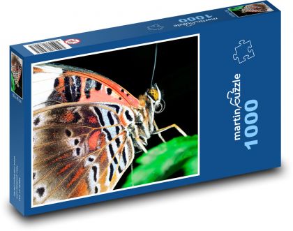 Motýľ so zlatými očami - Puzzle 1000 dielikov, rozmer 60x46 cm