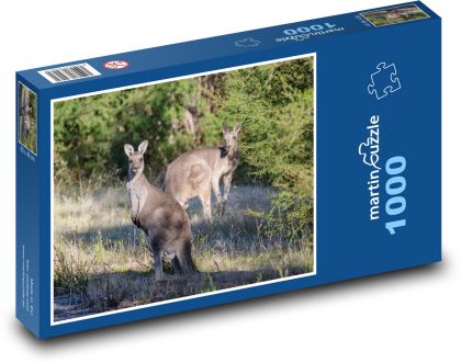 Klokany - Puzzle 1000 dielikov, rozmer 60x46 cm