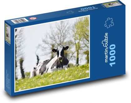 Strakatá kráva na louce - puzzle 1000 dílků
