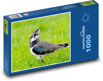 Čejka chocholatá - pták - puzzle 1000 dílků