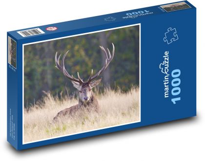 Deer - antlers - Puzzle 1000 pieces, size 60x46 cm 