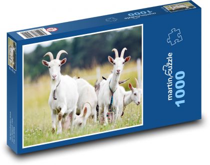 Cecky. - Puzzle 1000 dielikov, rozmer 60x46 cm