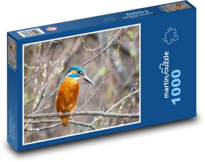 Kingfisher - bird - Puzzle 1000 pieces, size 60x46 cm 