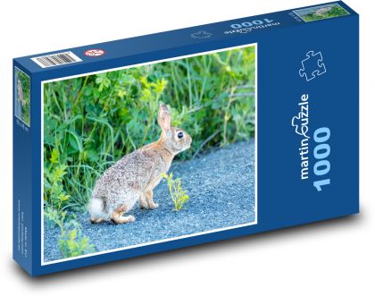 Rabbit - Puzzle 1000 pieces, size 60x46 cm 