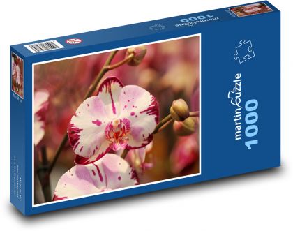 Kvety orchideí - Puzzle 1000 dielikov, rozmer 60x46 cm