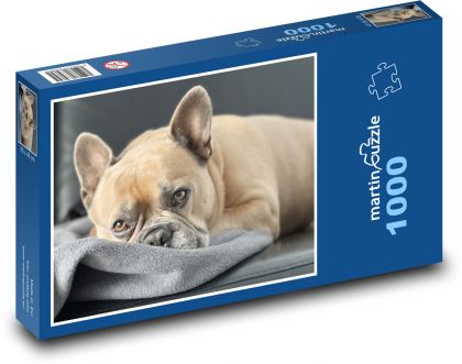 Francúzsky buldoček - pes - Puzzle 1000 dielikov, rozmer 60x46 cm