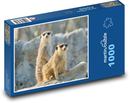 Erdmännchen auf dem Felsen - Puzzle - 1000 Teile